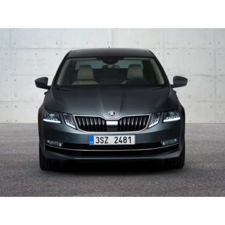 Видеокамера фронтальная Scoda Octavia III 2013+